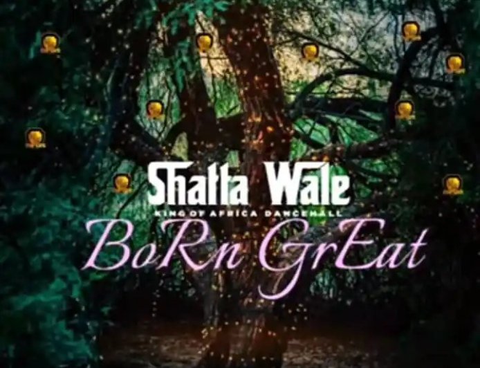 Shatta Wale - Born Great