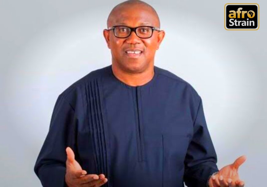 You’re too unprepared – Court slams Peter Obi for presenting illegal documents in his petition against Tinubu’s victory