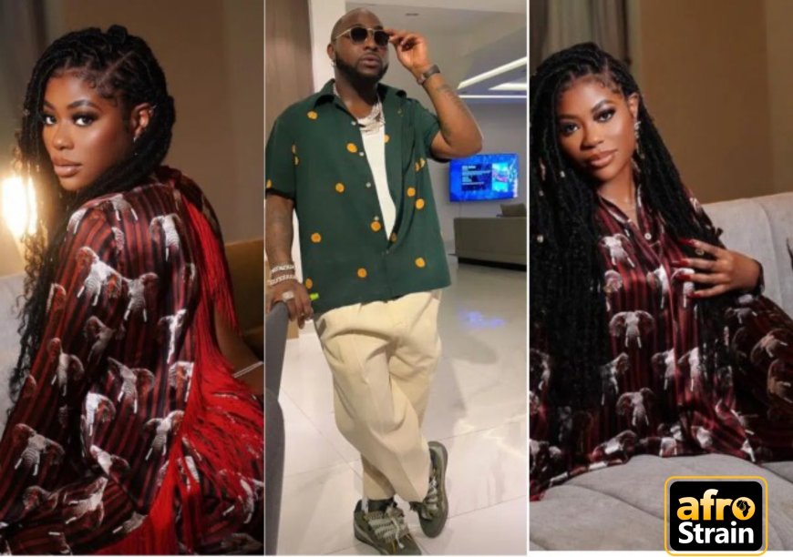 For Always Humiliating Her, Davido Owes Sophia Momodu an Apology – Lady Blows Hot