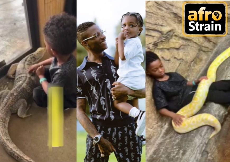 Wizkid’s Son, Zion Spotted with Scary and Deadly Reptiles