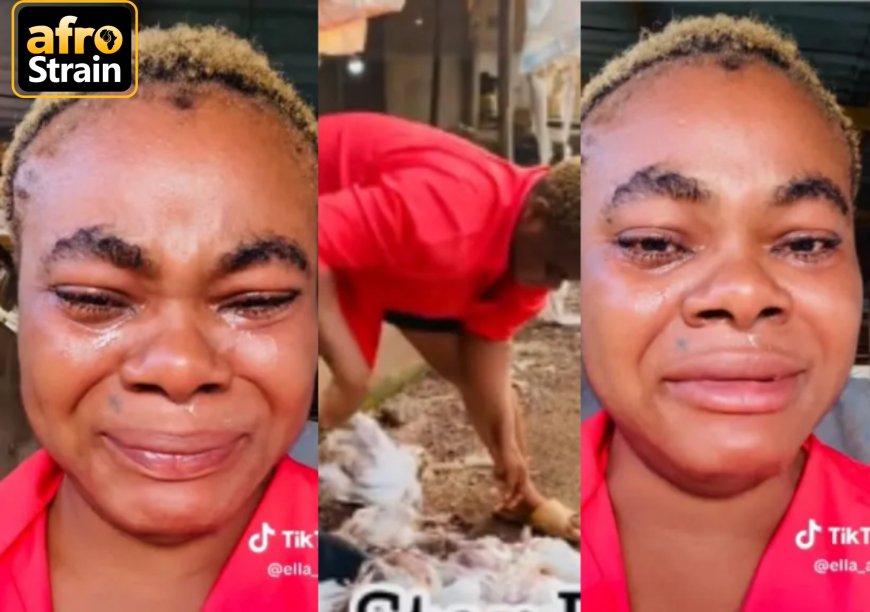 “I’ve been doing this business for 4 years” – Poultry farmer breaks down in tears after losing 100 birds