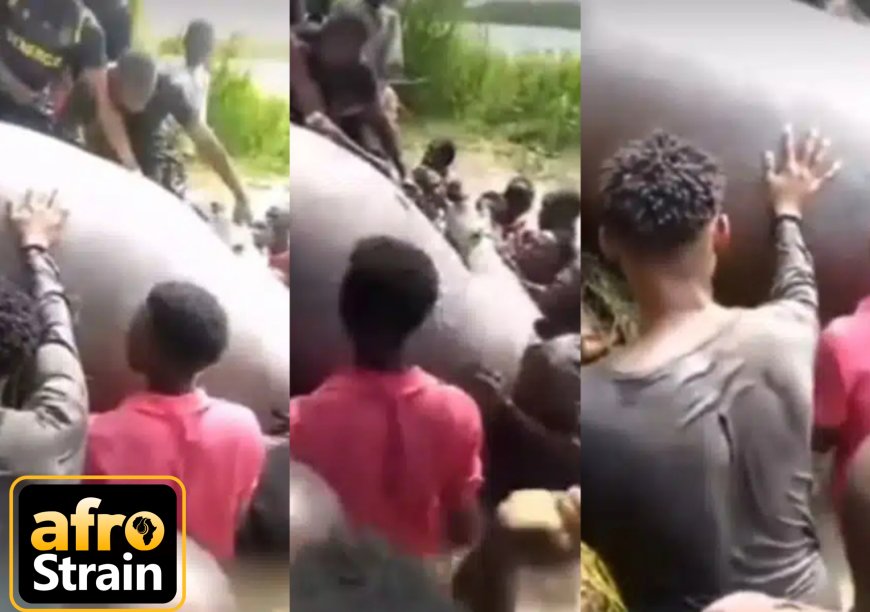 Benue youths kill huge hippopotamus terrorizing waterways