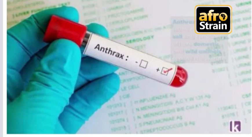 First Case Of Anthrax Recorded In Nigeria