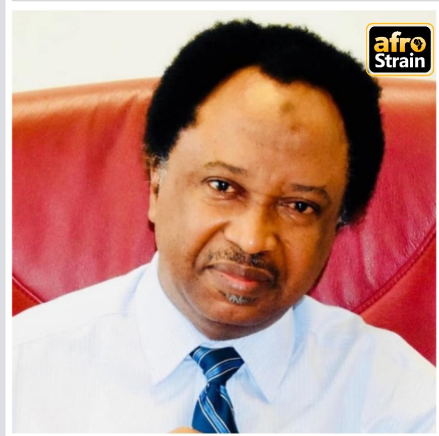 Buharists Now Orphans In APC – Shehu Sani