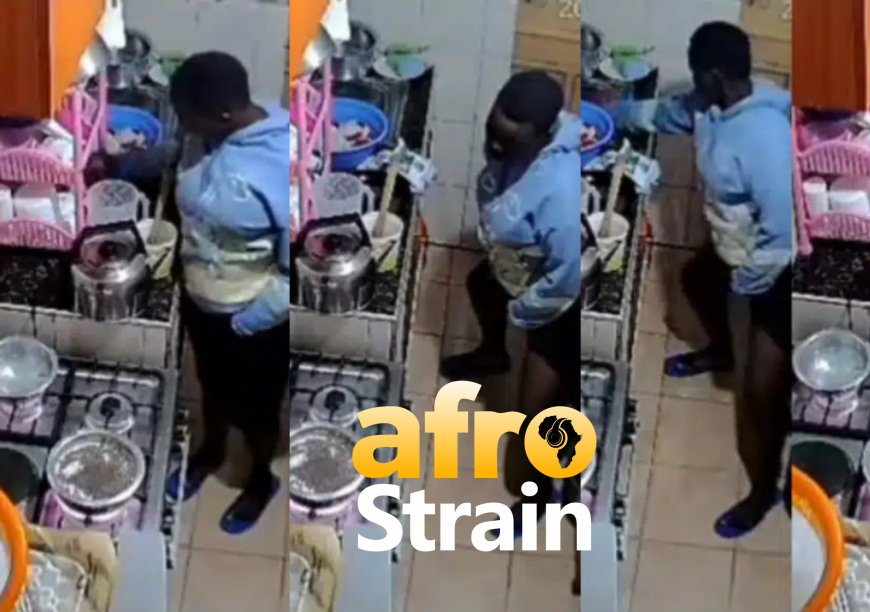 Newly employed house-help caught on CCTV camera urinating in the kitchen