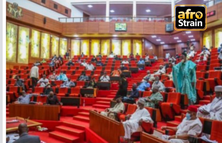 Alleged Abuse Of Firearms: Senate Investigates Customs