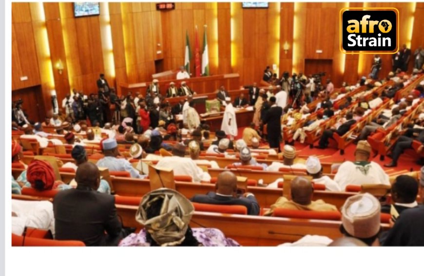 Senate Asks FG To Stop TCN’s Proposal To Purchase Electricity Meters Abroad