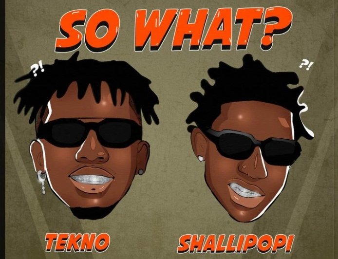 Tekno Ft Shallipopi - So What?