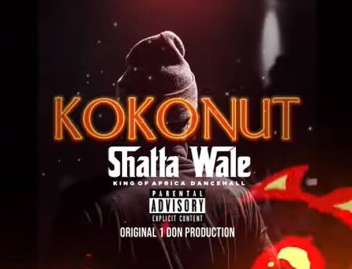 Shatta Wale - Kokonut