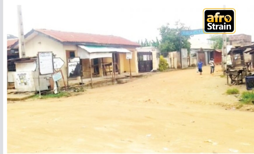 Fear Grips Residents As Decomposing Dead Body Is Found In Ogun