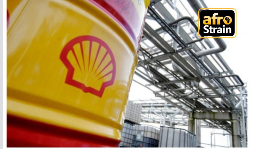 Shell To Sell More Oil Assets In Nigeria