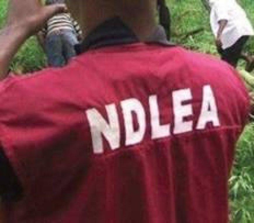 Lagos Police intercept NDLEA official with illicit drugs