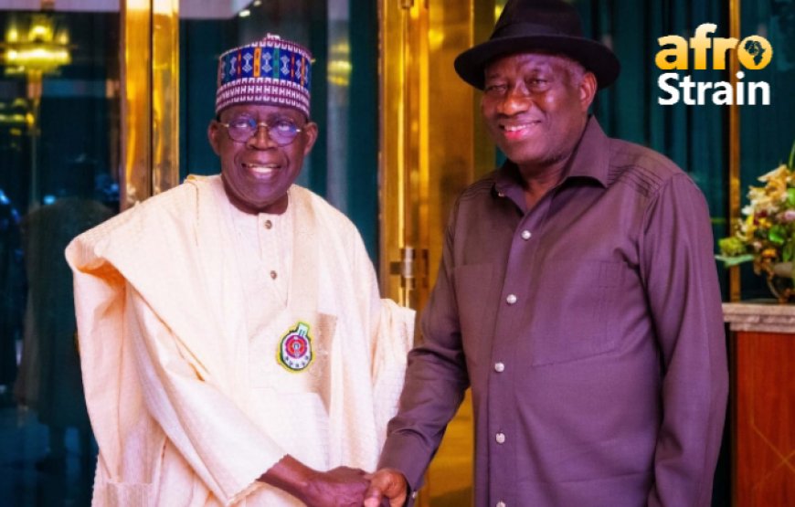 Former President Goodluck Jonathan meets Tinubu, encourages unity among political leaders