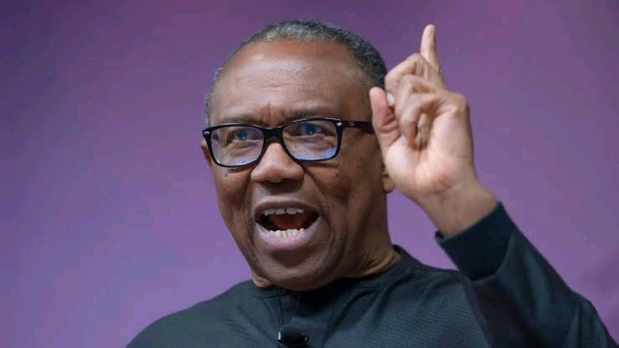 Peter Obi expresses his displeasure with Nigeria embracing grain donation from Ukraine, Governor Bago supports him