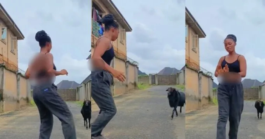 Funny Moment When Ram Chases Lady In “Gwor Gwor Gwor Ngwor” challenge